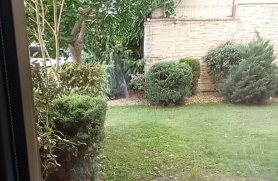 Аренда студии с видом на море, Евксиноград, Варна, Болгария